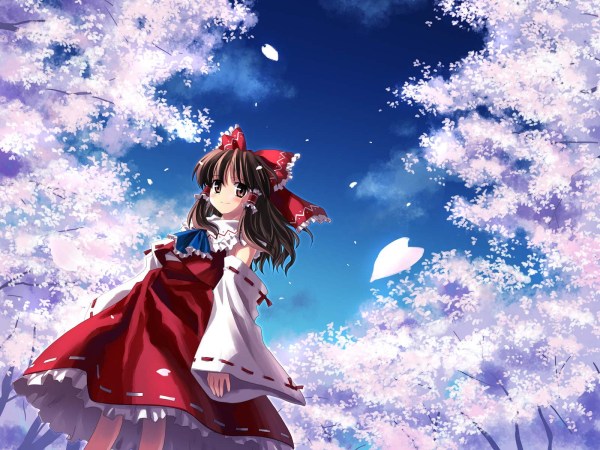 热播5